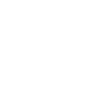 icon1